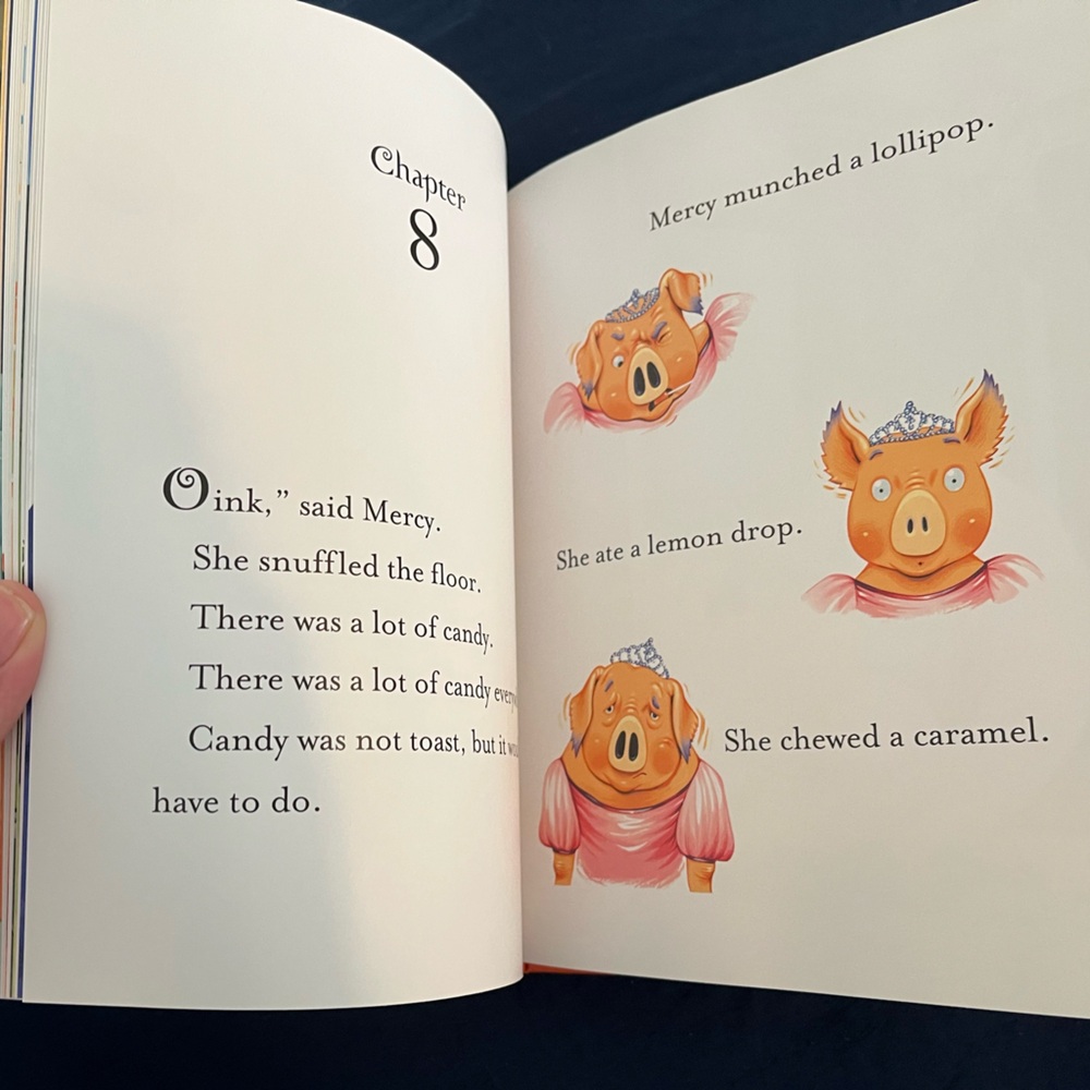 Mercy Watson Book Set by Kate DiCamillo - Picture 8 of 9